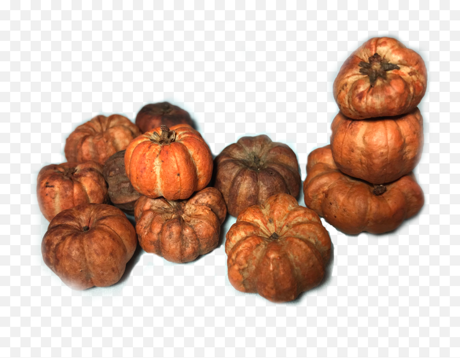 Mini Realistic Pumpkins Set Of 12 - Gourd Emoji,Pumpkin Set With Different Emotions For Coloring