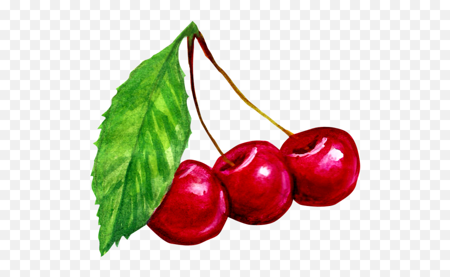 Cherry Transparent Png Image - Freepngdesigncom Superfood Emoji,Picture Of A Cherry Emoji