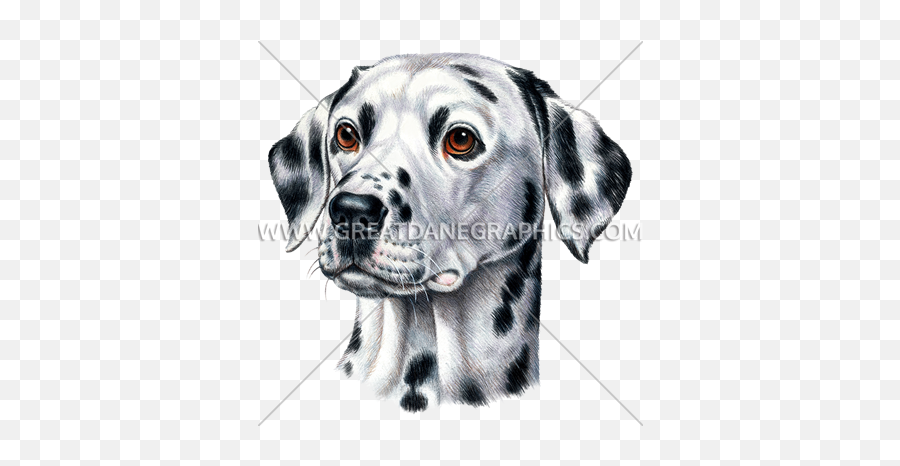 Dalmatian Face Emoji,Dalmatian Emoticon