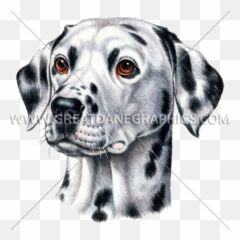 Dalmatian Face Emoji,Dalmatian Emoticon