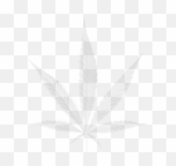 Education Emoji,Pot Weed Emoji