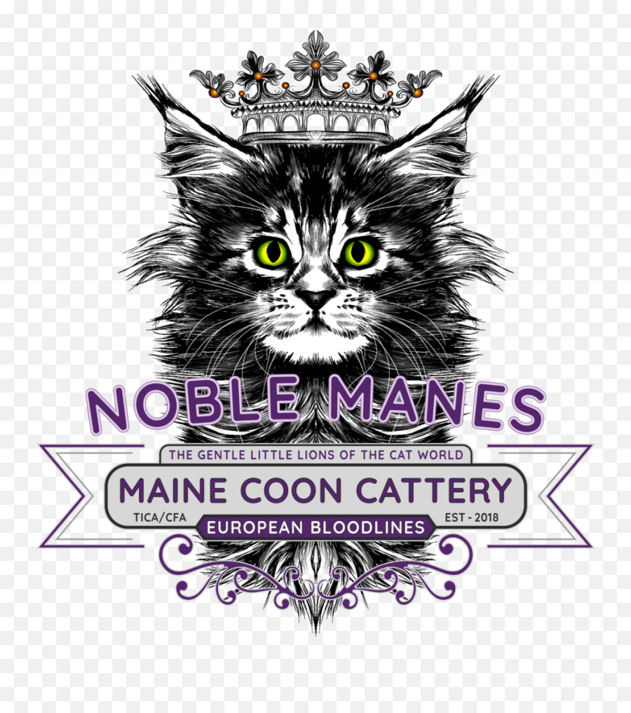Noble Manes U2013 The Gentle Little Lions Of The Cat World - Language Emoji,Black And White Facbook Emoticon