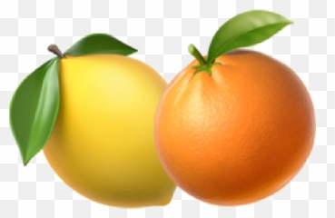 Virtual Bar Emoji,Citrus Emoji