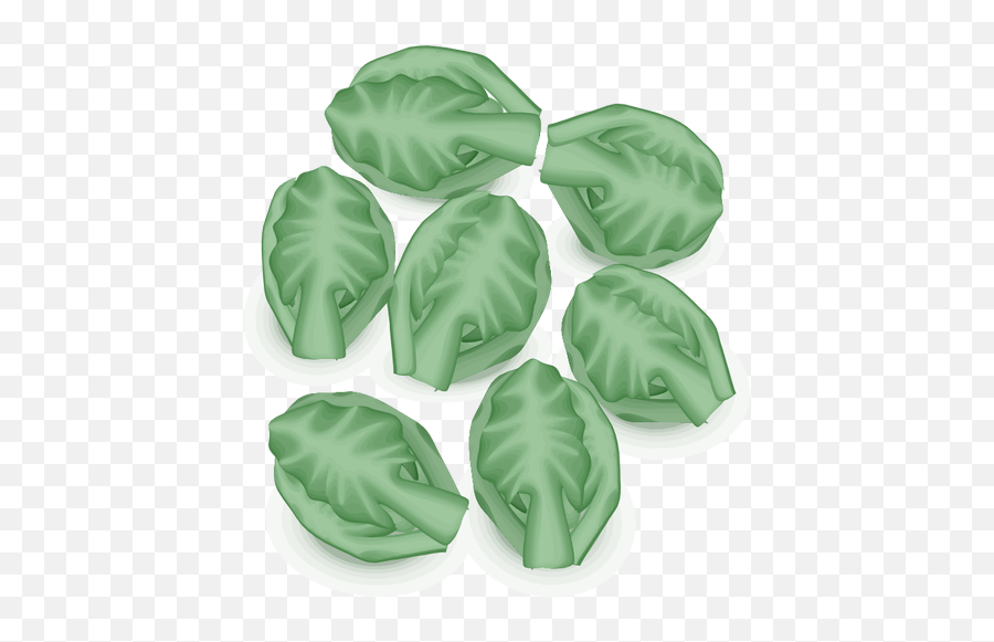 Brussel Sprouts Vector Image Public Domain Vectors Emoji,Vegatable Emoji