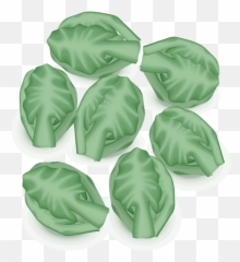 Brussel Sprouts Vector Image Public Domain Vectors Emoji,Vegatable Emoji