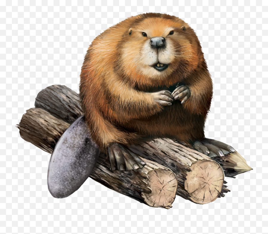 Popular And Trending Beaver Stickers Picsart - Beaver Png Emoji,Beaver Emoji
