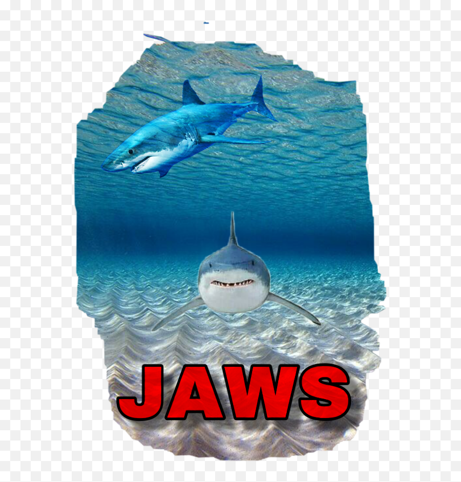 Sharkstickers Jaws Sticker - Liaquat Bagh Emoji,Jaws Emoji