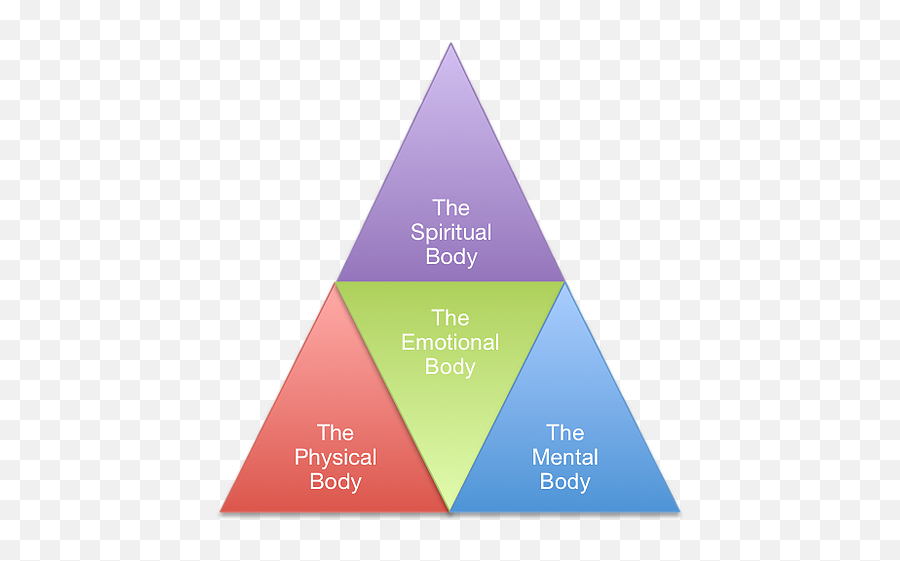 The Four Body System Energy In Motion - Vertical Emoji,Body And Emotion