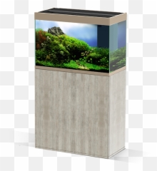 Emotions Pro 80 - Vertical Emoji,Produtos Bio Emotion