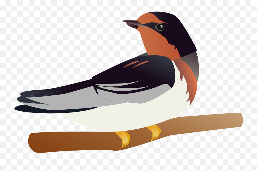 Barn Swallow Bird Clipart - Old World Flycatchers Emoji,Swallow Emoji