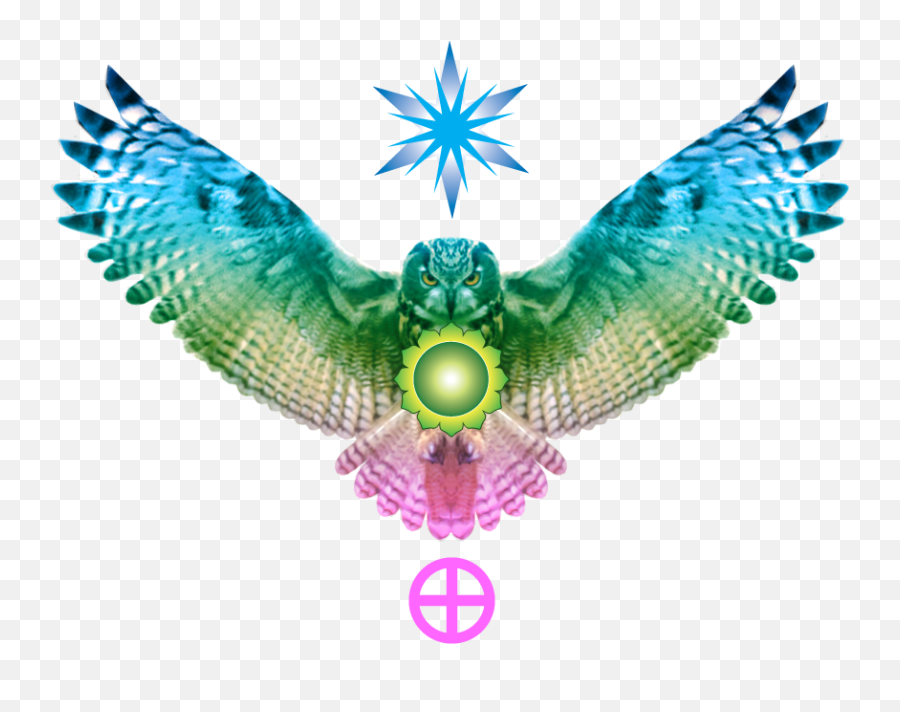 Heart Metaphysics School Sedona Sacred Sun - Falconiformes Emoji,Sacred Symbol For Emotion