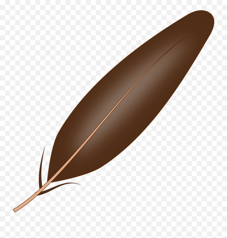 Turkey Feather Clip Art 9 Png - Feather Clip Art Emoji,Feather Emoji