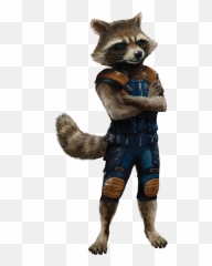 Rocket Raccoon Png Transparent Images Emoji,Raccoon Couple Emoji