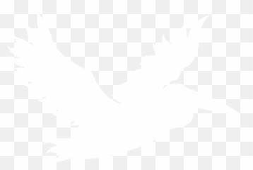 Home Pelican Street Studios Emoji,Emotion Of Pelicans