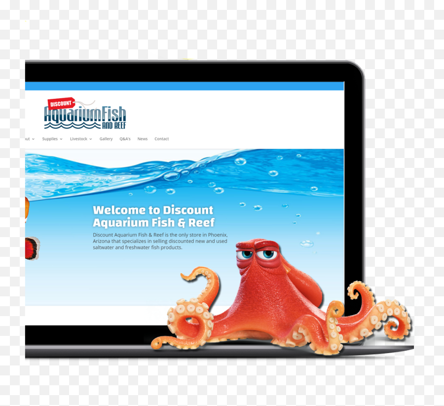 Used Equipment - Discount Aquarium Fish U0026 Reef Emoji,Fishtank Emoticon For Facebook