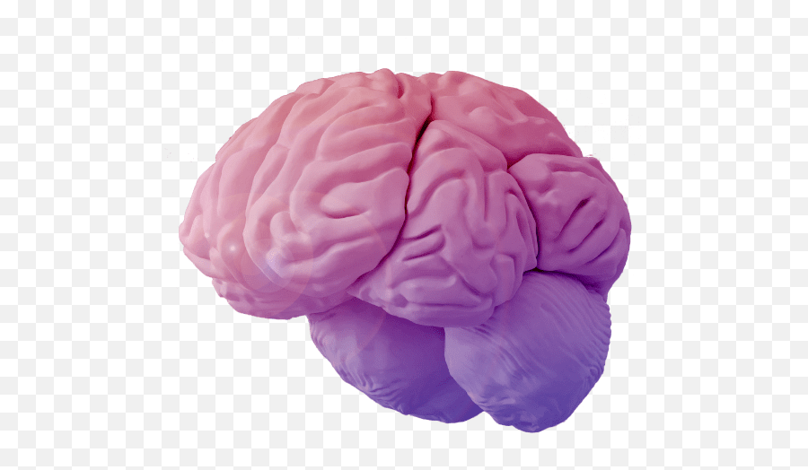 Noema Pharma Emoji,Brain Emoji Transparent