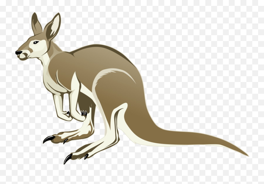 Kangaroo Free To Use Clipart 2 - Cute Kangaroo Cartoon Png Download Transparent Transparent Background Kangaroo Clipart Emoji,Kangaroo Emoji