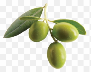 Olive Clipart Greek Olive Olive Greek - Olive Png Emoji,Olive Emoji