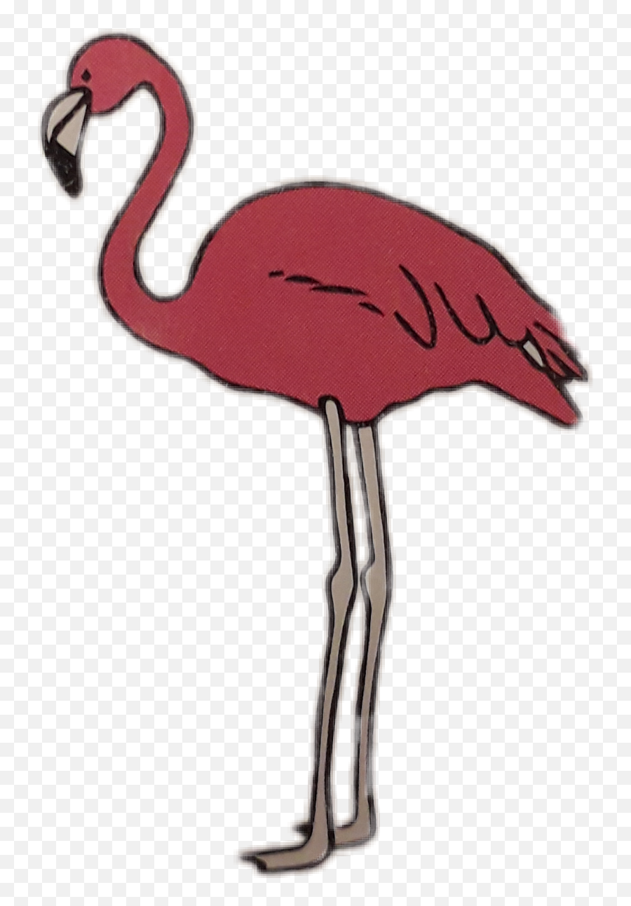 Flamingo - Animal Figure Emoji,Flamingo Emoji Copy