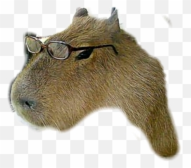 Capivara Sticker - Capybara Emoji,Capybara Emoji