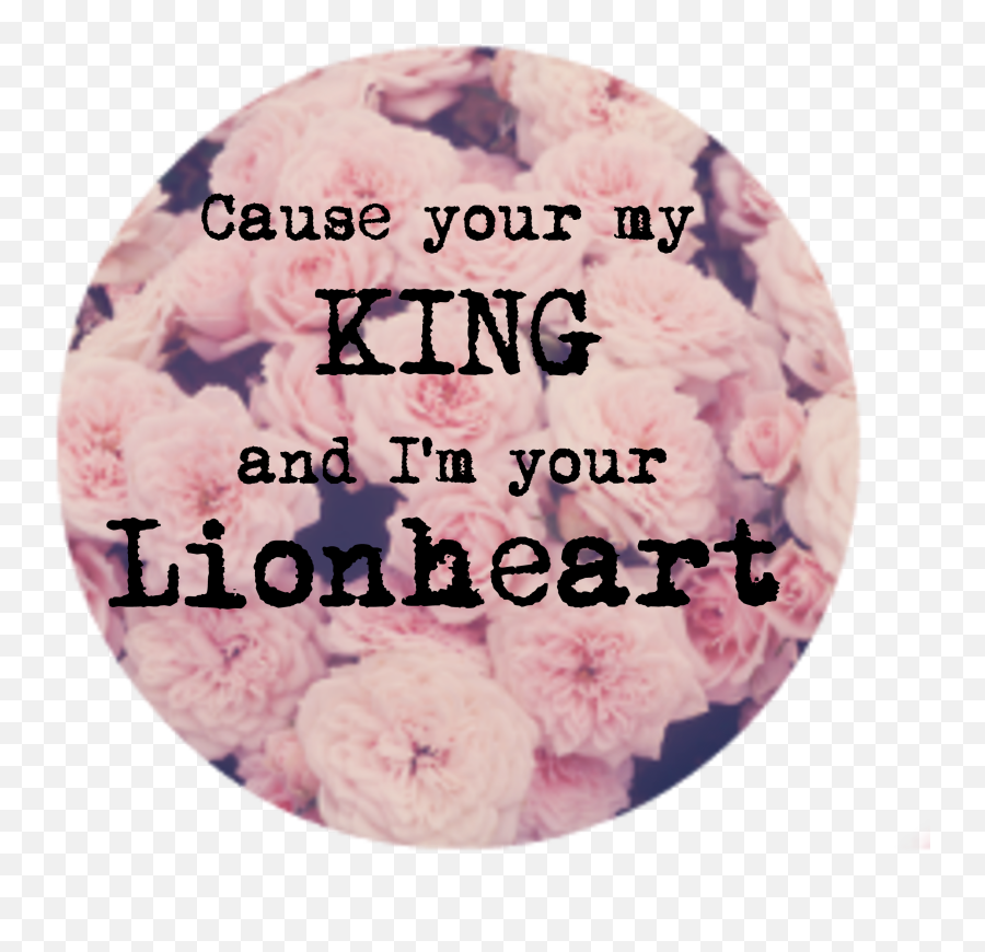 Of Monsters And Men King And Lionheart Of Monsters And Emoji,Who Sings The Song Sweet Emotion