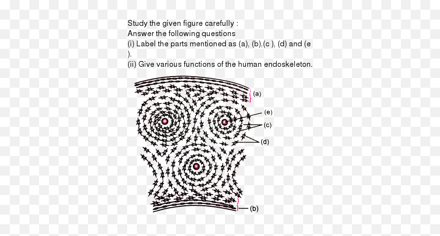 Study The Figure Carefully And Answer - Dot Emoji,Parts Of Emotion