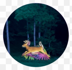 Top Chris Delia Hunting Deer Stickers - Reindeer Emoji,Animated Deer Hunter Emoticons