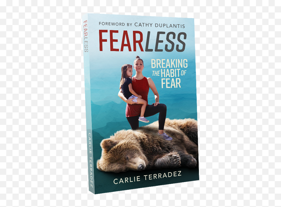 Christian Teaching Books - Fearless How To Break Habits Of Fear Emoji,Tool Book For Emotions (books