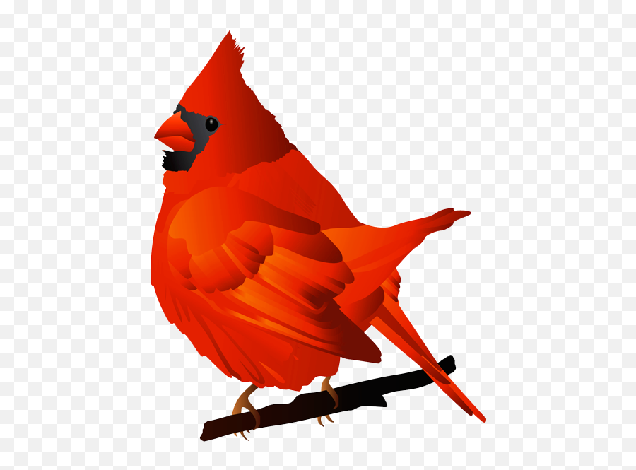 0 Images About Birds - Cardinal Clip Art Png Emoji,Cardinal Emoji