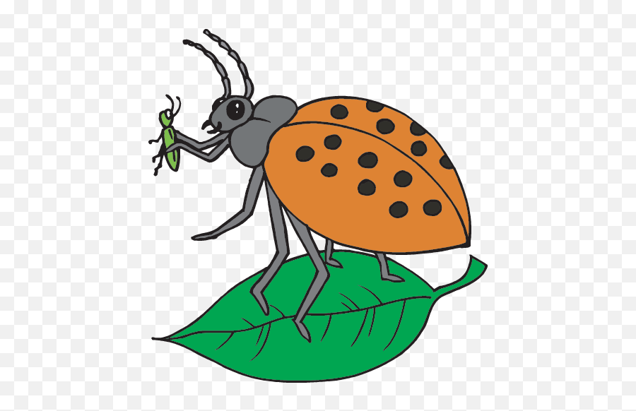 Idaho - Am An Insect And Have A Hard Outer Body Covering Emoji,What Is The Termite, Ladybug Emoticon