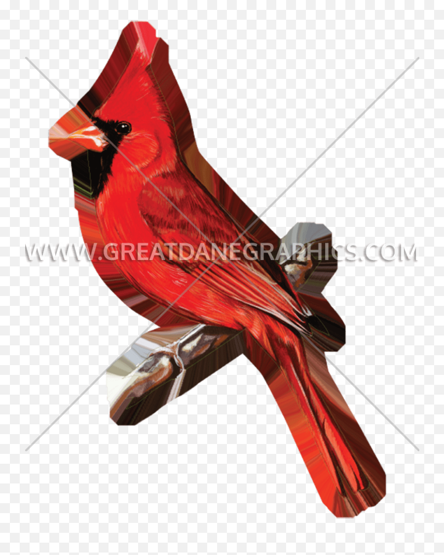 Red Cardinal Production Ready Artwork For T - Shirt Printing Northern Cardinal Emoji,Cardinal Bird Facebook Emoticon