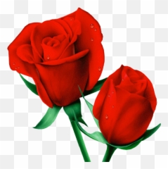 Roses Flowers Stickers For Wastickerapps - Apps On Google Play Red Follower Emoji,Android Red Rose Emoticon