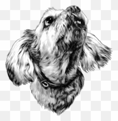 Why Our Clients Love Our Dog Behaviour Emoji,Dog Jump Emotions