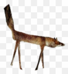 Boki - Brick Hill Emoji,Moyou Emoji