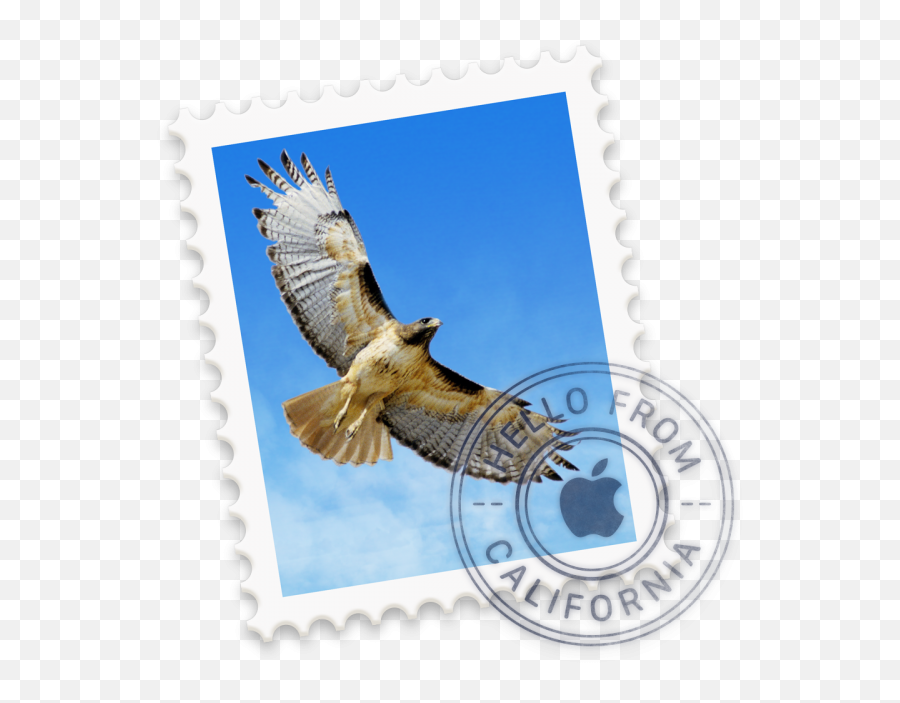 Using Applications On Macos Emoji,Buzzard.gif Emoticon