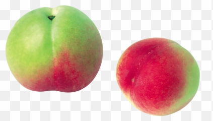 Peach Png Image Awesome - High Quality Image For Free Here Emoji,Peach Emojio