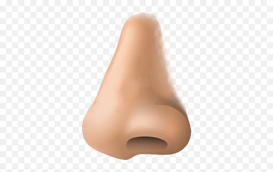 Learning Zone 2 - Nose Png Emoji,Emoji Answers 103