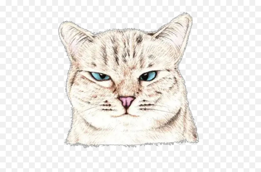 Hug Me Stickers For Whatsapp - Domestic Cat Emoji,Cuddle Emoji Iphone