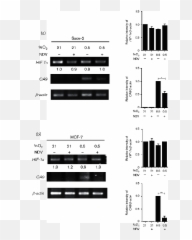 Newcastle Disease Virus Degrades Hif - Horizontal Emoji,Hwang Insun Emoticon ???