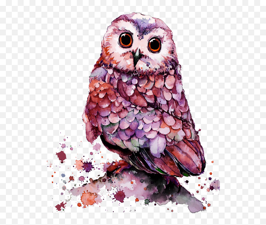 Owl Challenge Animals Sticker By Bianca - Water Color Owl Png Emoji,Different Owl Emojis