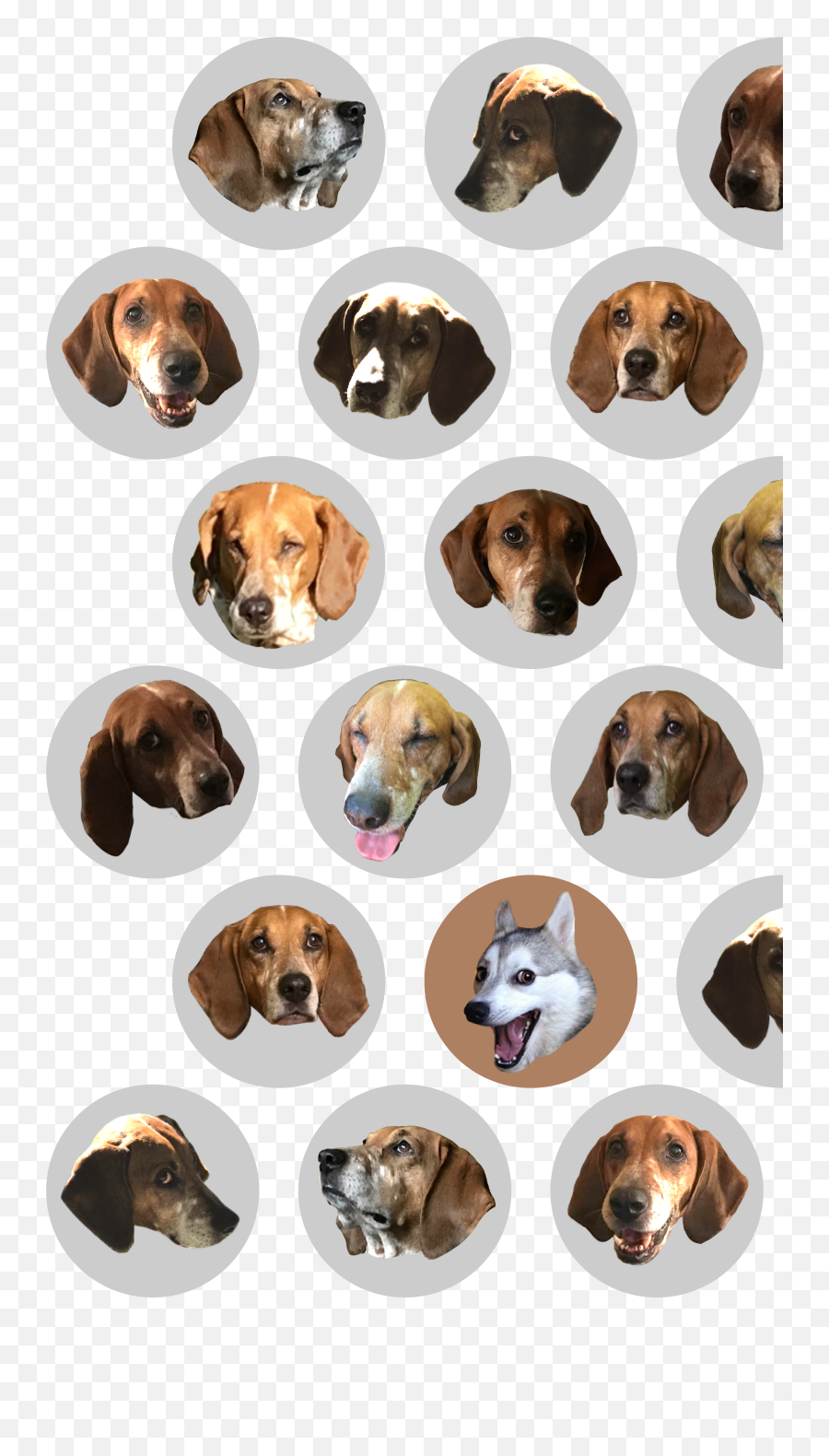 Applicability Domain Methods Emoji,Vaugh Emojis Applicability Domain Methods Emoji,Vaugh Emojis