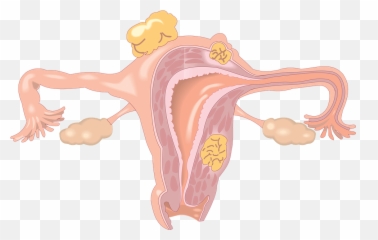 The 18 Greatest Craziest Cosmo Headlines By Ted Pillow - Uterus Baby Emoji,Freaky Emoticons