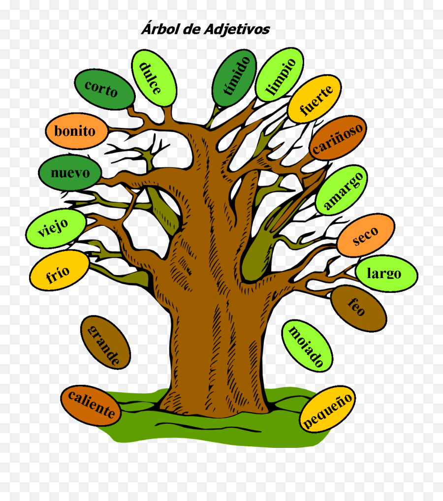 Young Clipart Adjective Young - Tree Adjective Emoji,Adjective Emotions