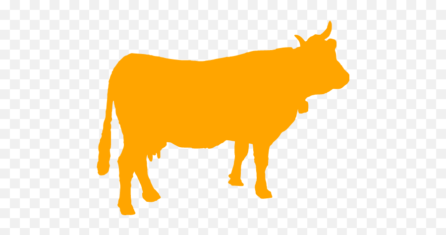 Orange Cow 2 Icon - Cow Green Icon Png Emoji,Cow Emoticons Png