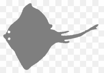 Lovely Emoji,Stingray Emoji