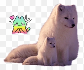 The Most Edited Yael Picsart - Arctic Fox Emoji,Arctic Fox Laughing Emoji
