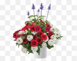 Blue Emotion - Artificial Flower Emoji,Grupo Emotion