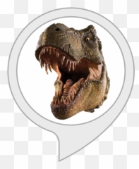 Dinosaur Sounds Amazonca Alexa Skills - Frogt Rex Emoji,Dinosaur Head Emoji