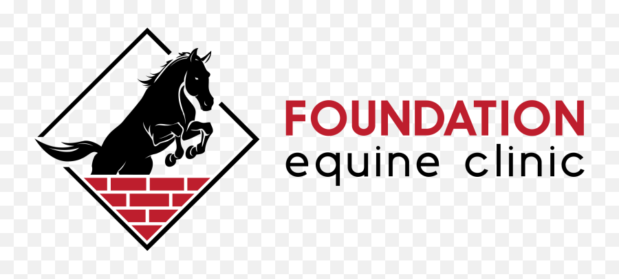 Foundation Equine Clinic - Southern Pines Nc Board Emoji,Emoji Nation Respuestas