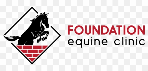 Foundation Equine Clinic - Southern Pines Nc Board Emoji,Emoji Nation Respuestas